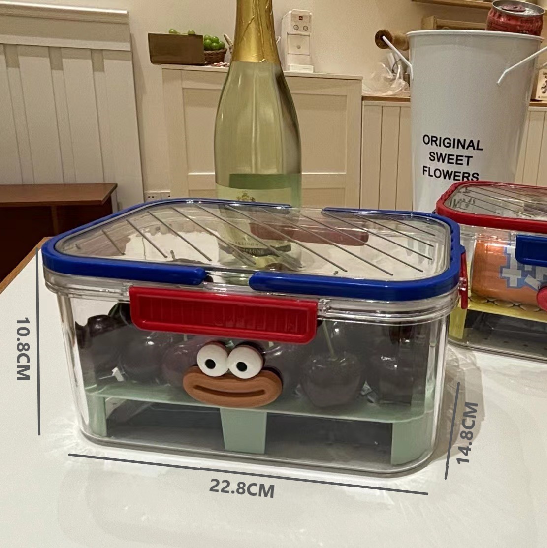 Caja de picnic portátil para camping y paseos de primavera